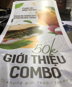 In màu Khổ lớn A0, A1, A2 giá rẻ Hà Nội